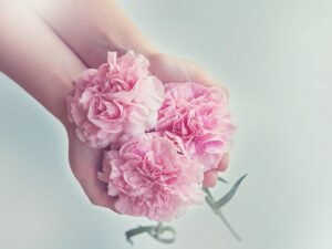 ピンクのカーネーションを差し出す女性の手