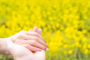 菜の花畑で手を繋ぐカップル