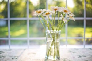窓辺に置かれたヒナギクの花瓶