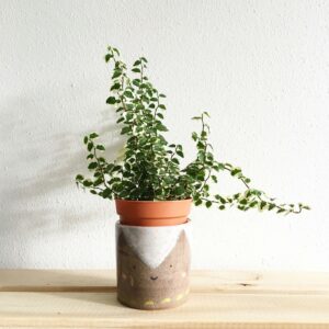 卓上の観葉植物、顔のイラストが入った鉢植え